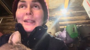 Завершающий отёл 2024г! Была буйная первотелка, а после второго отёла, так же?! Готовим паштеты!