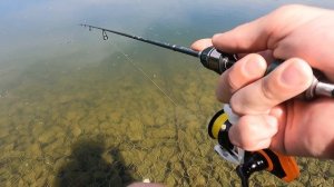 Летний карась на нимфу #карась #мормышинг #youtube #fishing #funny #рекомендации