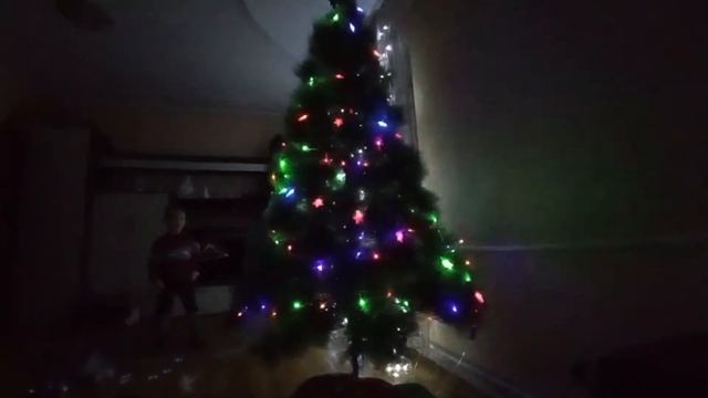 VLOG: КОШКА НА ПРОГУЛКЕ🐱❄️ ПОВЕШАЛА ГИРЛЯНДУ🎄 09.12.20
