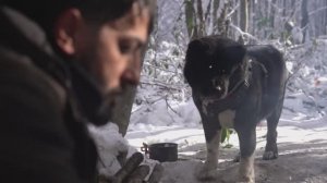 ХАКАН 3 Days кемпинг зимой с собакой. -12°