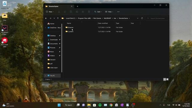 PAGE FAULT IN NONPAGED AREA VALORANT FIX | page_fault_in_nonpaged_area Valorant Fix смотреть онлайн