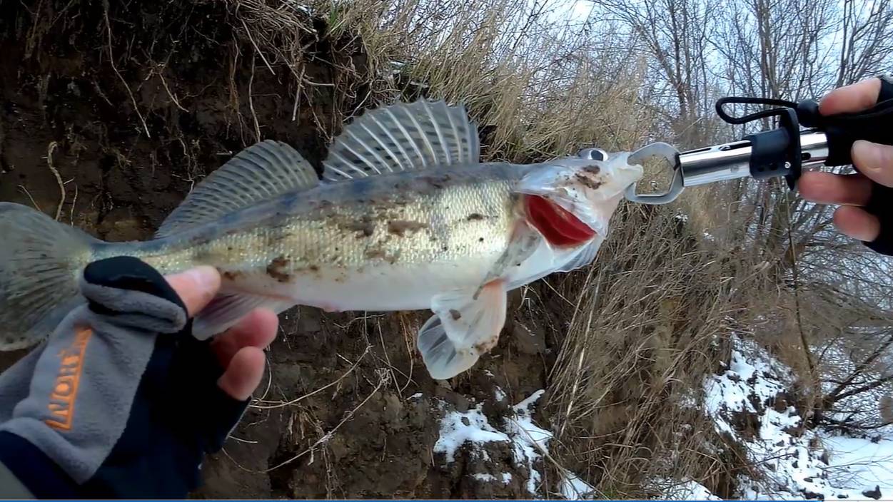 Рыбалка на р.Москва, спининг в январе. Терпение и труд все перетрут.