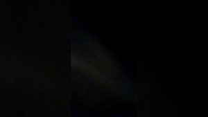 Массаж  для собаки