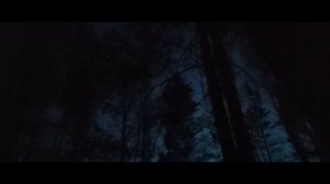 ГЛУХАРИННЫЙ ТОК/ПЕСНЯ ГЛУХАРЯ