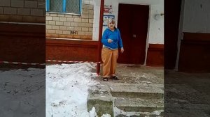Бешеная бабка