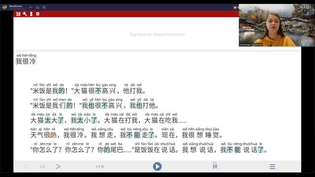 Читаем на китайском вместе легко "我是猫" - Часть 1. Глава 9. 我很冷。