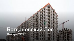 «Богдановский Лес» / Январь 2025