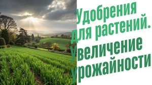 Удобрения при посадке весной.