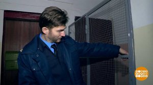 Общедомовое - значит, для всех! Доброе утро. Фрагмент выпуска от 31.01.2025