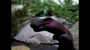 50 SUB SPECIAL-Tarbosaurus vs Oxalaia (Dinosaur claymation)