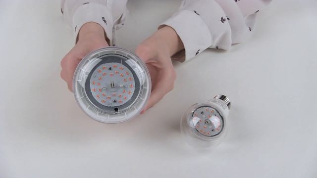 Фитолампы ЭРА красно-синего спектра с цоколем Е27 - смотреть вид смотреть онлайн