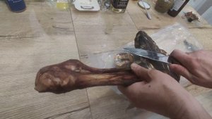 Хамон из ноги косули