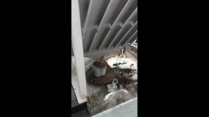 Работа установки инсинератора "Базовая К" по сжиганию отходов  https://utilnefteshlam.ru/