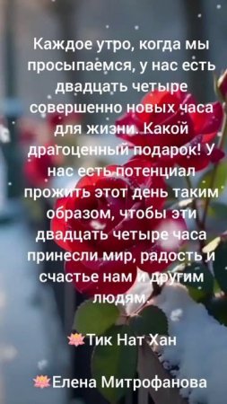 Каждое утро, когда мы просыпаемся, у нас есть двадцать четыре совершенно новых часа для жизни.