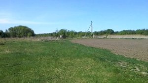 Галоп на орловском рысаке