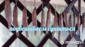 ВЯЛЕНАЯ КОРЮШКА 🐟ПРОСТЕЙШИЙ И НАДЕЖНЫЙ РЕЦЕПТ ПОСОЛА #корюшка #вяленаякорюшка