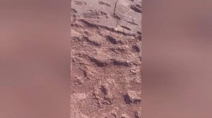 VLOG. Переезжаем в Харьков! Новый этап в жизни!