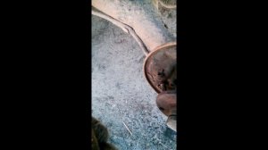 замена заднего тормозного цилиндра КАЛИНА, ВАЗ,плохие тормоза,течь тормозного цилиндра лада калина,