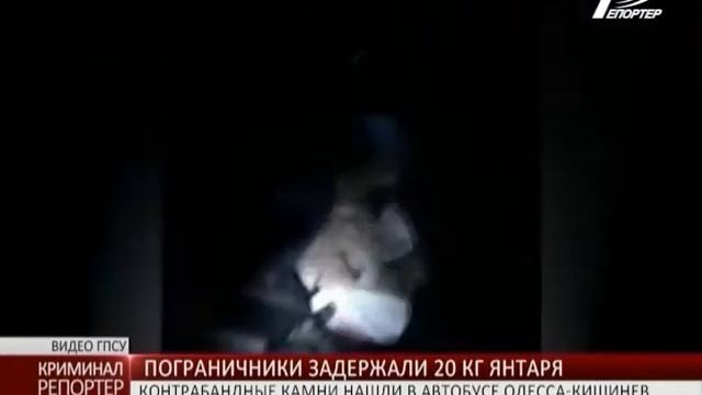 Пограничники задержали более 20-ти килограммов контрабандного янтаря смотреть онлайн