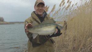 За судаком на речку Чир в марте . Часть 1.  Приток Цимлянского моря!  Юрий Философ.