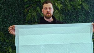 Как приучить собаку к пелёнке?