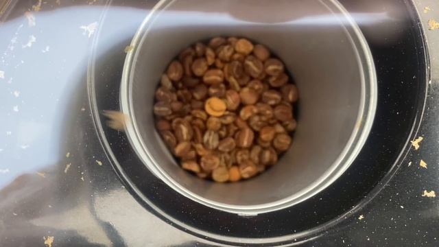 sweet maria's popper* unboxing and first coffee roast Guatemala Antigua Finca Cabrejo w/weight loss смотреть онлайн