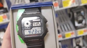 Casio Royale Armitron at Walmart