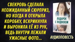 Свекровь сделала неожиданный подарок, увидев который, я потеряла дар речи... АУДИОПОВЕСТЬ