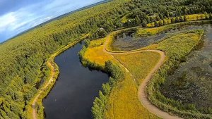 Каркино. Кирово-Чепецк