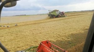 Claas Lexion 770.жнива 2020.