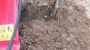 Мотоблок Ока, работа  фрезами "Гусиные лапки" подготовка  участка к посадке клубники#сад #огород