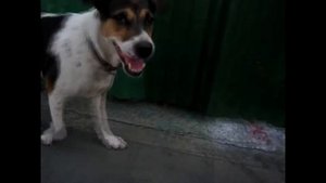 Марковна с Бородой/Красноярск-Бангкок/part 2