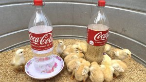 Легко и без затрат! Сделать кормушку и поилку для цыплят из пластиковых бутылок