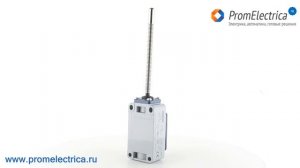 L52K13SOM102 Концевой выключатель влагостойкий с пружинным рычагом с металлическим наконечником EMA