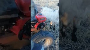 как нужно заводить культиватор