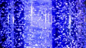 Crowne Plaza Borjomi | ქრაუნ პლაზა ბორჯომი