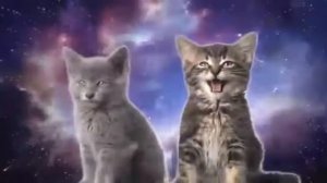 Коты поют про землю мяу