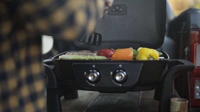 Nexgrill Fortress 2.0 2-Burner Table Top Grill (820-0072) смотреть онлайн
