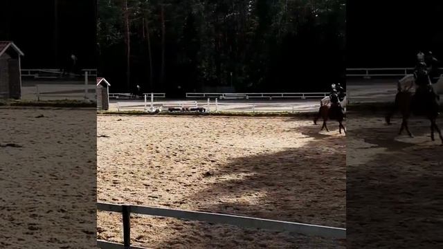 Город Зеленогорск, Курортный район Санкт-Петербурга смотреть онлайн