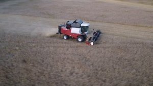 Уборочная 2023 Комбайны Ростсельмаш Акрос 530 и Вектор 410