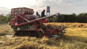 รถเกี่ยวข้าว ศักดิ์พัฒนาการเกษตร รุ่น SS-300 เกี่ยวข้าวลุยน้ำ ep.1