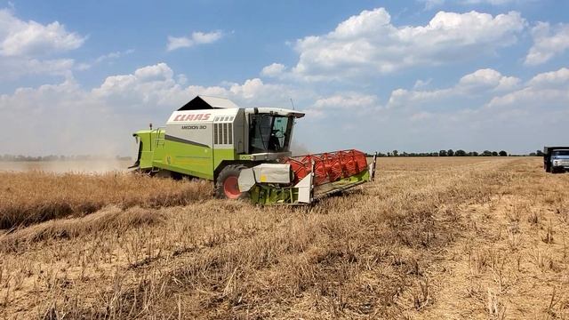 Работа Рапсовый стол «Rape Fiore»