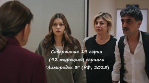 Содержание 19 серии (92 турецкая) третьего сезона сериала "Зимородок" (РФ, 2024 / 2025)