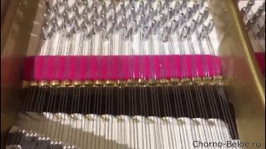 Реставрация Мюльбах