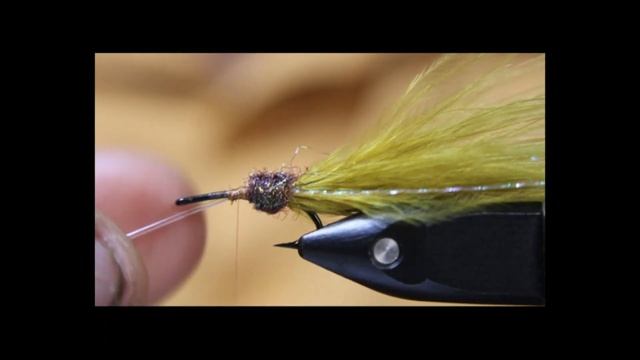 The Tropical Marabou Shrimp