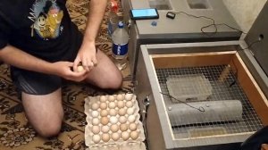 Инкубация куриных яиц от А до Я наглядное пособие(2 часть)