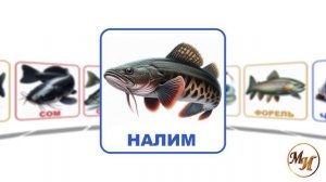 Познаём мир! Кто живёт в водоёмах? Развивающее видео для детей!