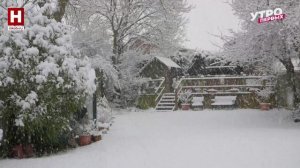 Посадка деревьев зимой