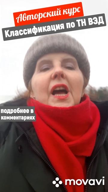 ЧТО ТАКОЕ ТН ВЭД И  ЧТО ОТ НЕГО ЗАВИСИТ #тнвэд #customs #hscode #customsclearance