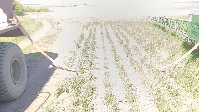 Заправка опрыскивателя.